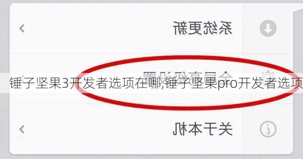 锤子坚果3开发者选项在哪,锤子坚果pro开发者选项