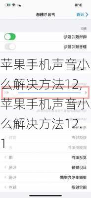 苹果手机声音小怎么解决方法12,苹果手机声音小怎么解决方法12.1