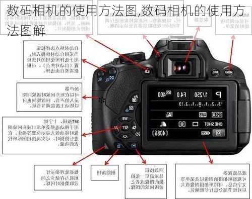 数码相机的使用方法图,数码相机的使用方法图解