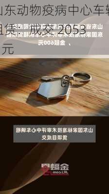 山东动物疫病中心车辆租赁：成交 20538 元