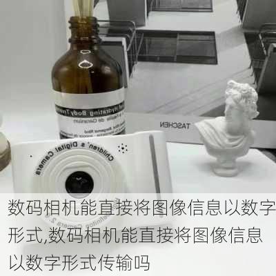 数码相机能直接将图像信息以数字形式,数码相机能直接将图像信息以数字形式传输吗