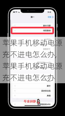 苹果手机移动电源充不进电怎么办,苹果手机移动电源充不进电怎么办