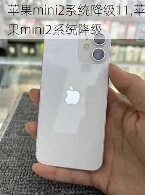 苹果mini2系统降级11,苹果mini2系统降级