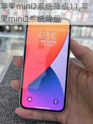 苹果mini2系统降级11,苹果mini2系统降级