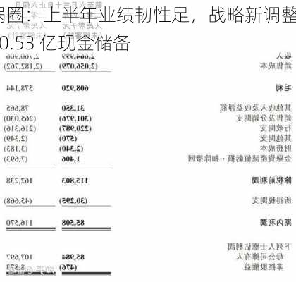 锅圈：上半年业绩韧性足，战略新调整  20.53 亿现金储备