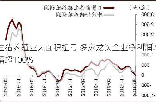 生猪养殖业大面积扭亏 多家龙头企业净利润增幅超100%