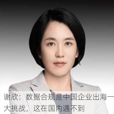 谢欣：数据合规是中国企业出海一大挑战，这在国内遇不到