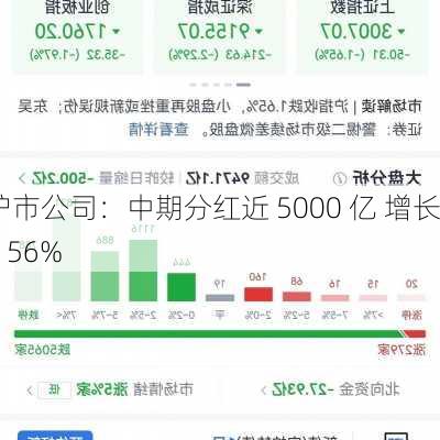 沪市公司：中期分红近 5000 亿 增长 156%