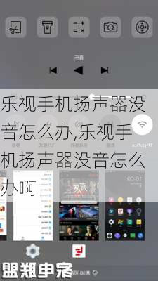 乐视手机扬声器没音怎么办,乐视手机扬声器没音怎么办啊
