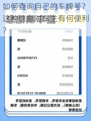 如何查询自己的车牌号？这种信息对车主有何便利？