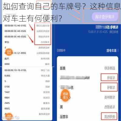 如何查询自己的车牌号？这种信息对车主有何便利？