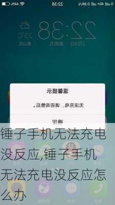 锤子手机无法充电没反应,锤子手机无法充电没反应怎么办