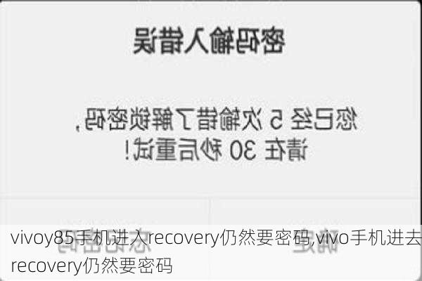 vivoy85手机进入recovery仍然要密码,vivo手机进去recovery仍然要密码