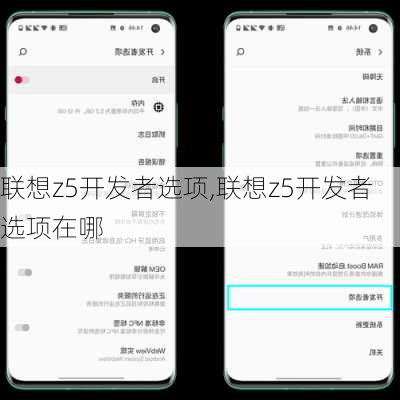 联想z5开发者选项,联想z5开发者选项在哪