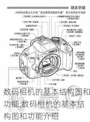 数码相机的基本结构图和功能,数码相机的基本结构图和功能介绍