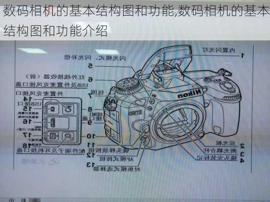 数码相机的基本结构图和功能,数码相机的基本结构图和功能介绍