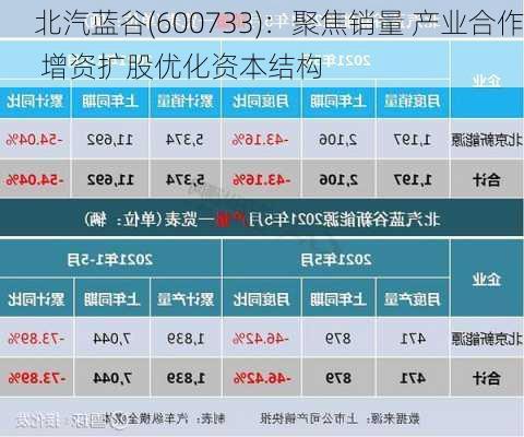 北汽蓝谷(600733)：聚焦销量 产业合作 增资扩股优化资本结构