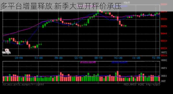 多平台增量释放 新季大豆开秤价承压