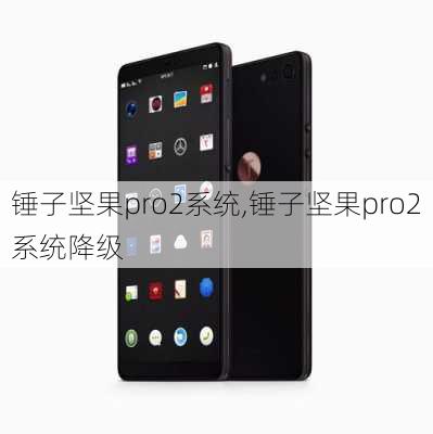 锤子坚果pro2系统,锤子坚果pro2系统降级