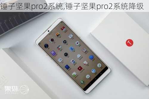 锤子坚果pro2系统,锤子坚果pro2系统降级