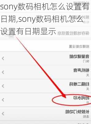 sony数码相机怎么设置有日期,sony数码相机怎么设置有日期显示