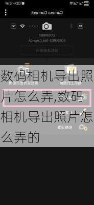 数码相机导出照片怎么弄,数码相机导出照片怎么弄的