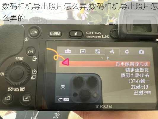 数码相机导出照片怎么弄,数码相机导出照片怎么弄的