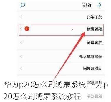 华为p20怎么刷鸿蒙系统,华为p20怎么刷鸿蒙系统教程