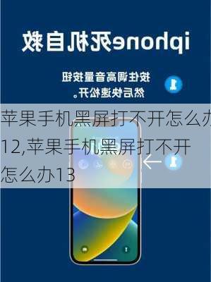 苹果手机黑屏打不开怎么办12,苹果手机黑屏打不开怎么办13