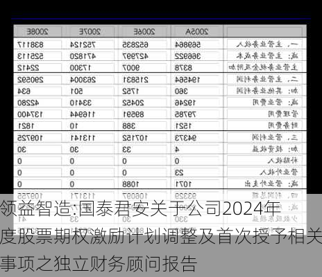 领益智造:国泰君安关于公司2024年度股票期权激励计划调整及首次授予相关事项之独立财务顾问报告