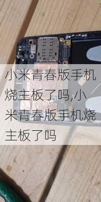 小米青春版手机烧主板了吗,小米青春版手机烧主板了吗