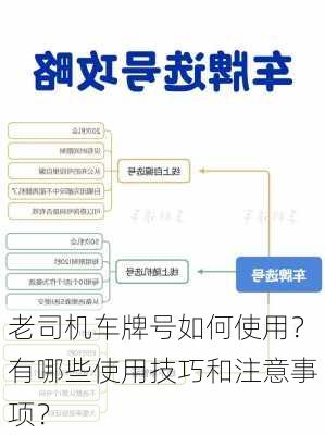 老司机车牌号如何使用？有哪些使用技巧和注意事项？