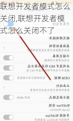 联想开发者模式怎么关闭,联想开发者模式怎么关闭不了