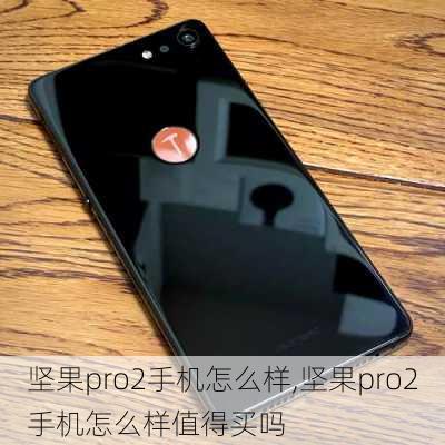 坚果pro2手机怎么样,坚果pro2手机怎么样值得买吗