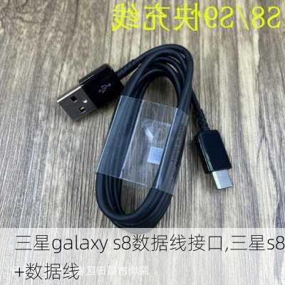 三星galaxy s8数据线接口,三星s8+数据线