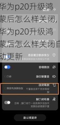华为p20升级鸿蒙后怎么样关闭,华为p20升级鸿蒙后怎么样关闭自动更新