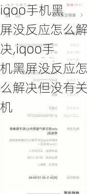 iqoo手机黑屏没反应怎么解决,iqoo手机黑屏没反应怎么解决但没有关机