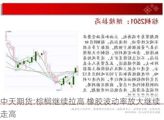 中天期货:棕榈继续拉高 橡胶波动率放大继续走高