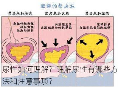 尿性如何理解？理解尿性有哪些方法和注意事项？