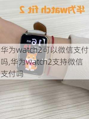 华为watch2可以微信支付吗,华为watch2支持微信支付吗