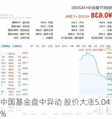 中国基金盘中异动 股价大涨5.04%