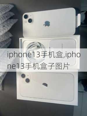 iphone13手机盒,iphone13手机盒子图片