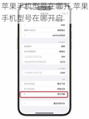 苹果手机型号在哪开,苹果手机型号在哪开启