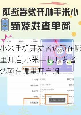小米手机开发者选项在哪里开启,小米手机开发者选项在哪里开启啊