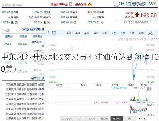 中东风险升级刺激交易员押注油价达到每桶100美元