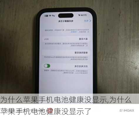 为什么苹果手机电池健康没显示,为什么苹果手机电池健康没显示了