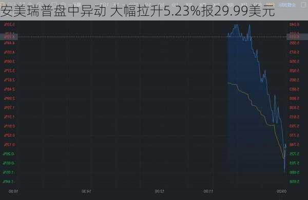 安美瑞普盘中异动 大幅拉升5.23%报29.99美元