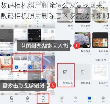 数码相机照片删除怎么恢复找回来,数码相机照片删除怎么恢复找回来啊