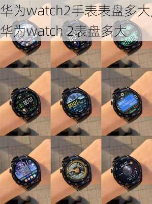 华为watch2手表表盘多大,华为watch 2表盘多大