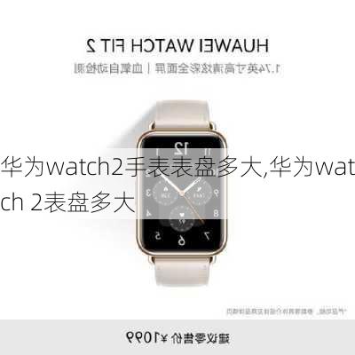 华为watch2手表表盘多大,华为watch 2表盘多大